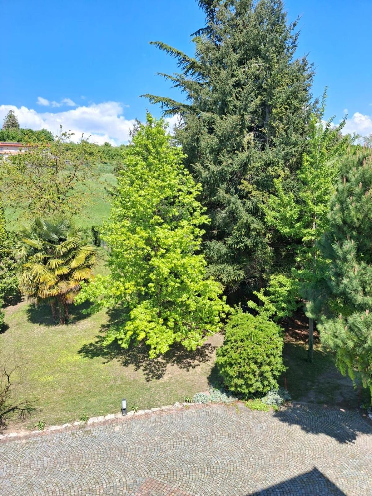 Cascina Bringin Apartment Mondovi Exterior photo